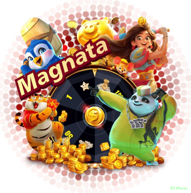 Configurações úteis dentro do app 5308win
